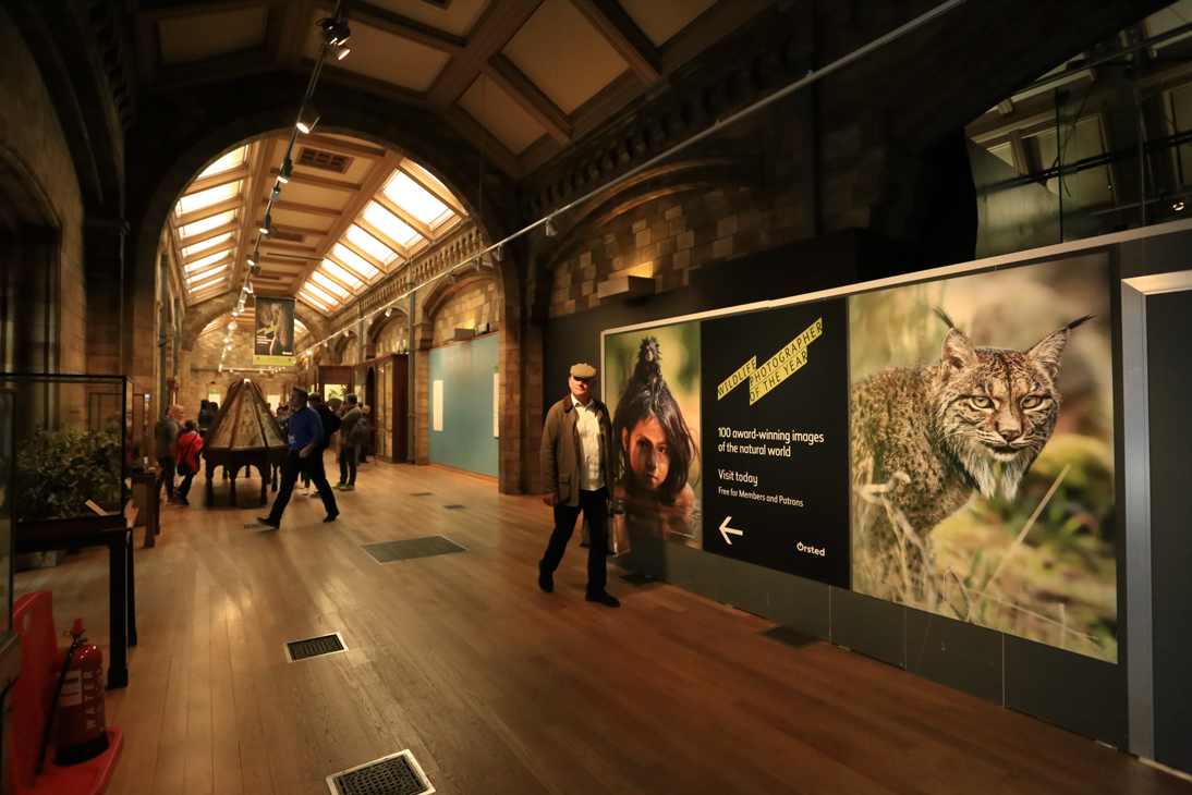 1526609499191ae3a5ad415