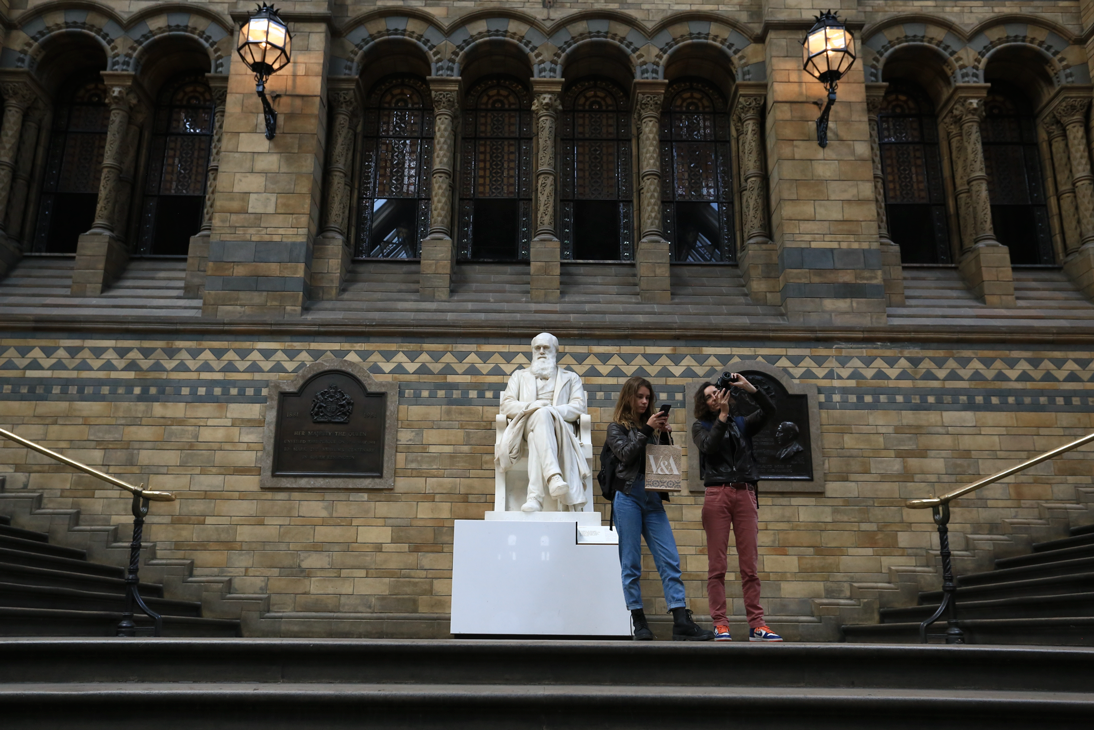 15266095011648c457f6c57