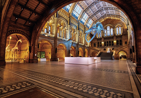 15266105157058dd6560cf2