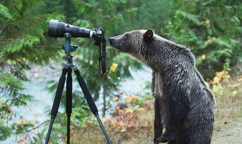 1526894402026558933843a