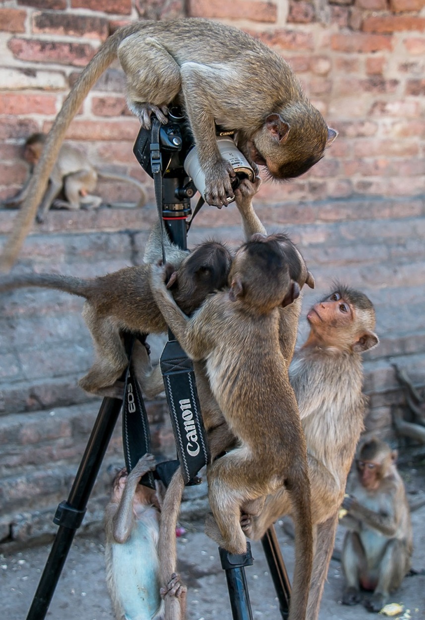 152689440371626fcc621db