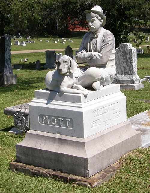 15228424027018de564bb89