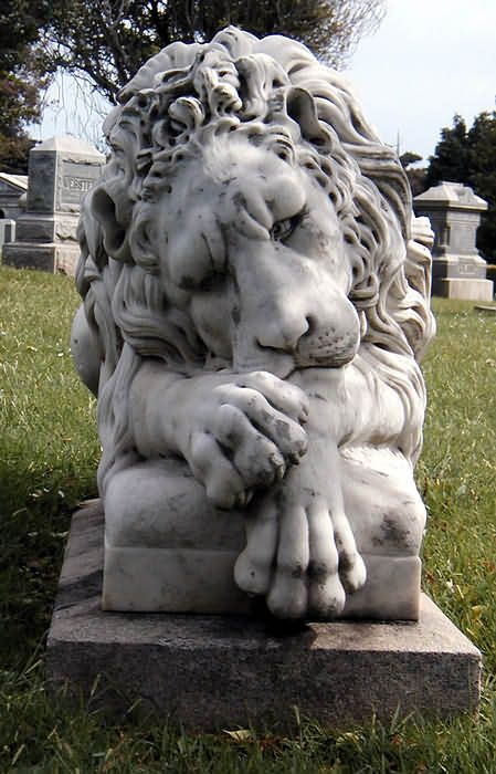 152284240281264f6c011d3