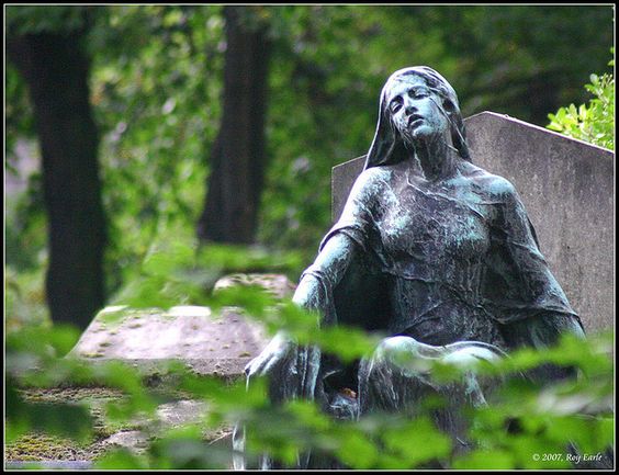 1522842403235ee4d08bba7