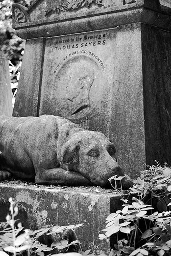 15228424033507b54b5fe25