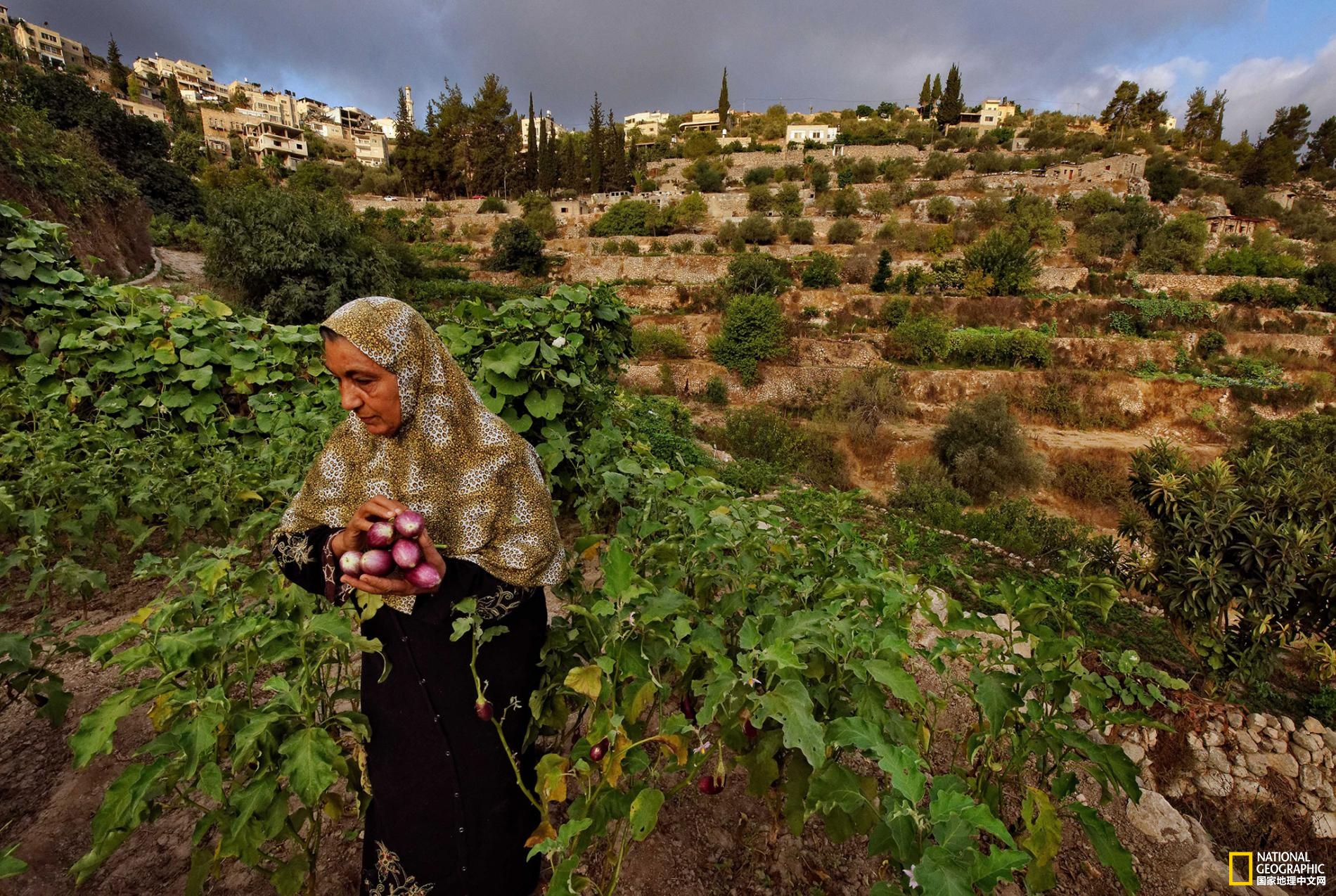 152456429851530793fc7e7