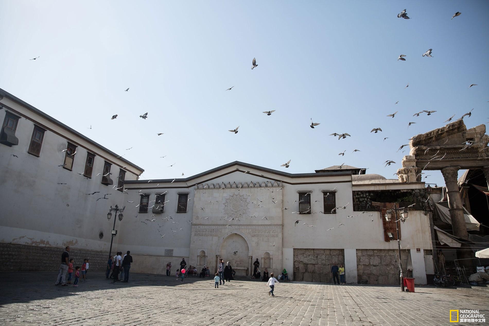 1524564308831f874ca1788