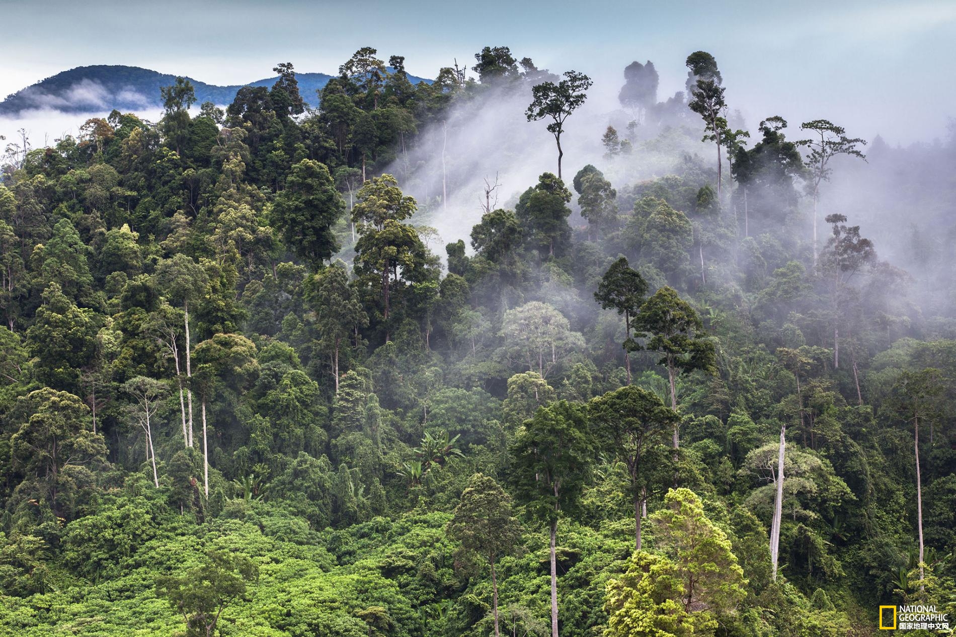 15245643117077c3b7a5269