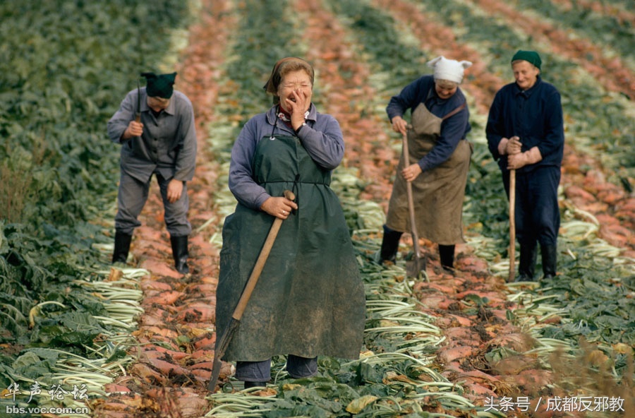 1526268657947599bfdb19e