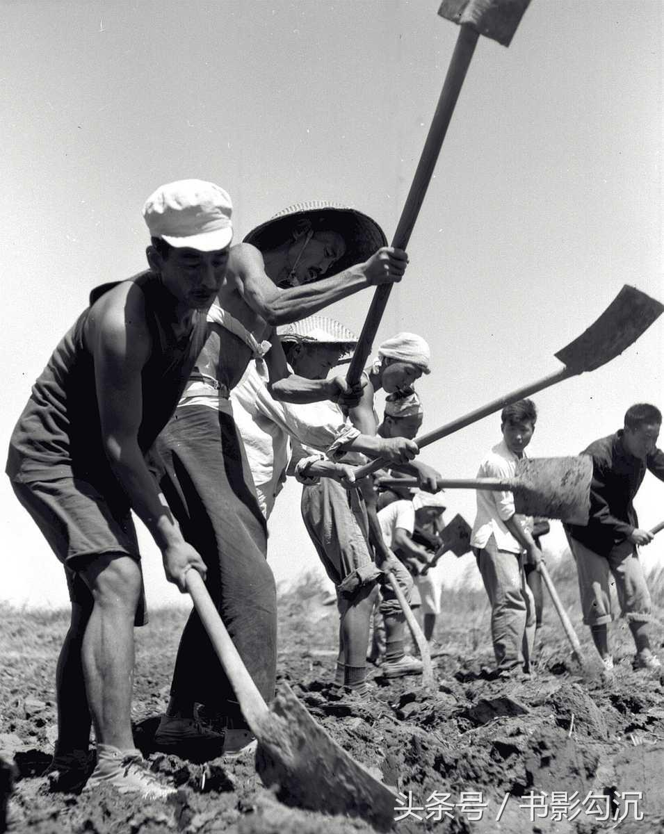 152647143447136f6e2f896