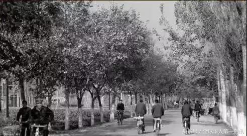 152662736828130bf0eec66