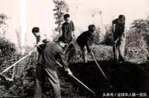 1526627368866fc7707420a