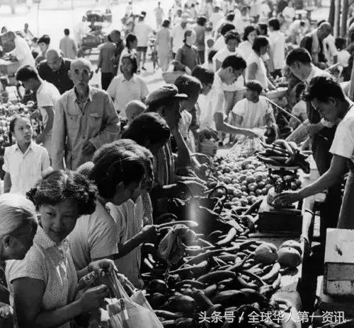 15266273728586931d70243