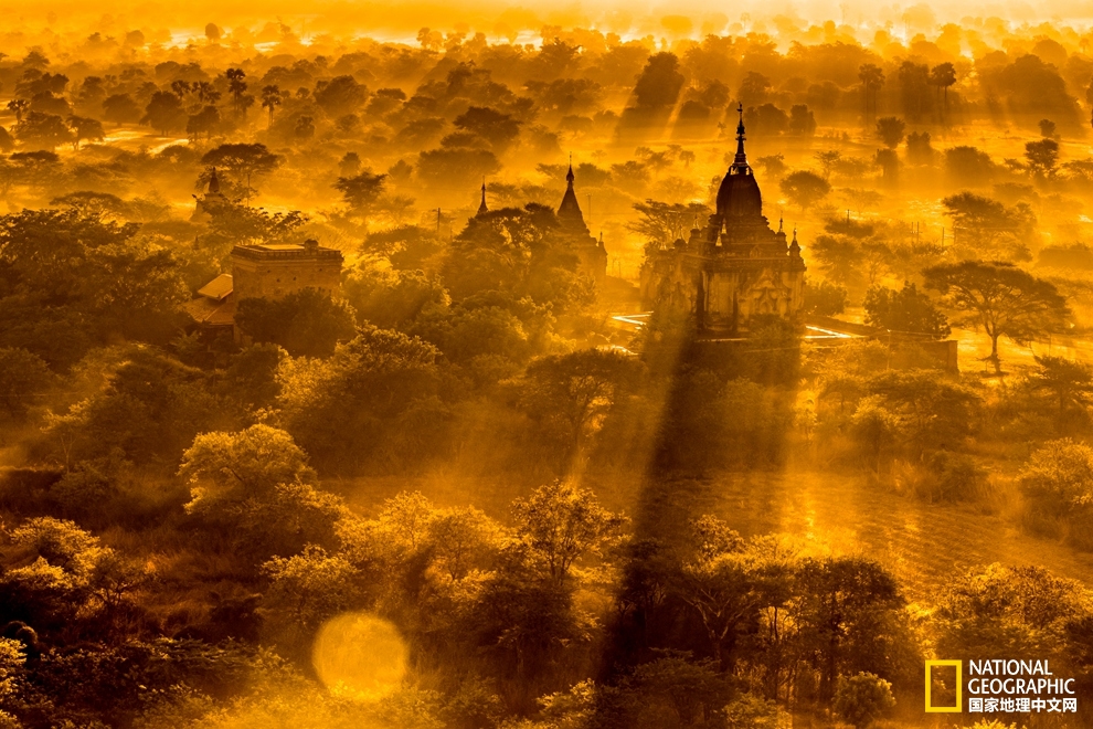 152221881524112c72c29ed