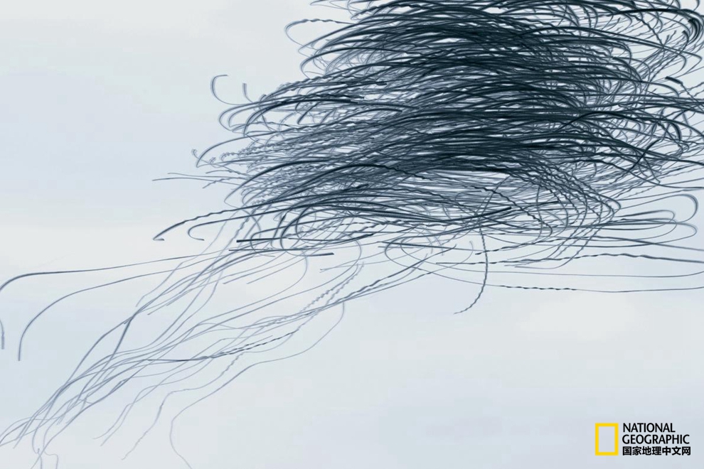 56930001820cb61d7c3b