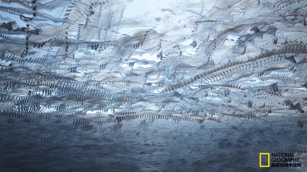 569200019470f0232857