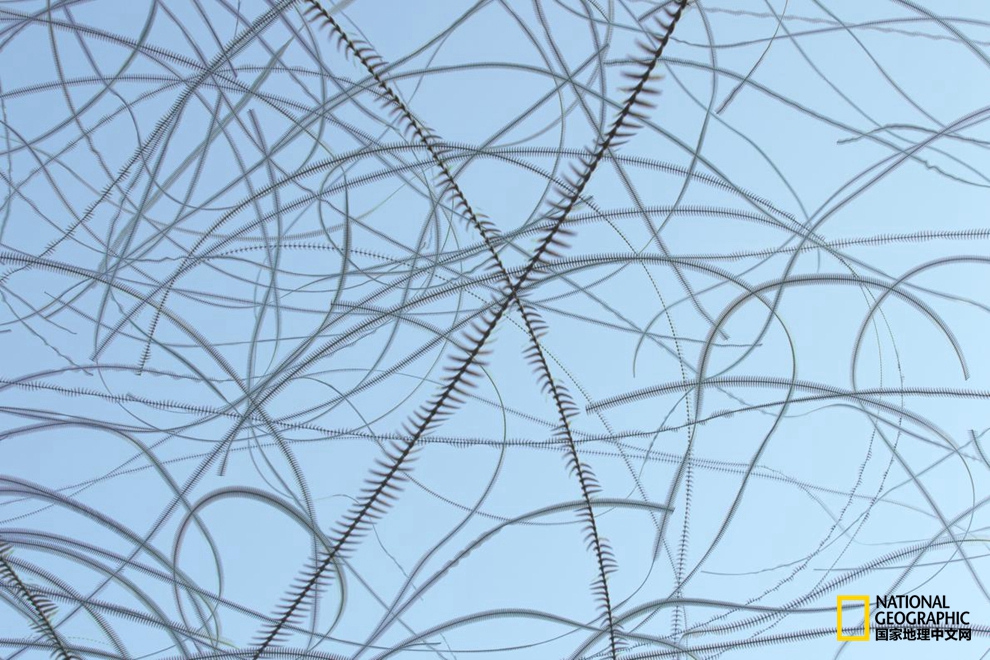 568d0005f12f8d29f524