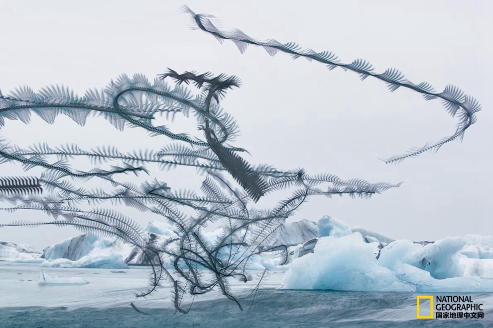 568e000576e5f1a1e47e