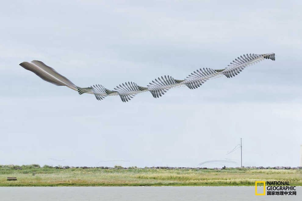 56920001948b8e688401