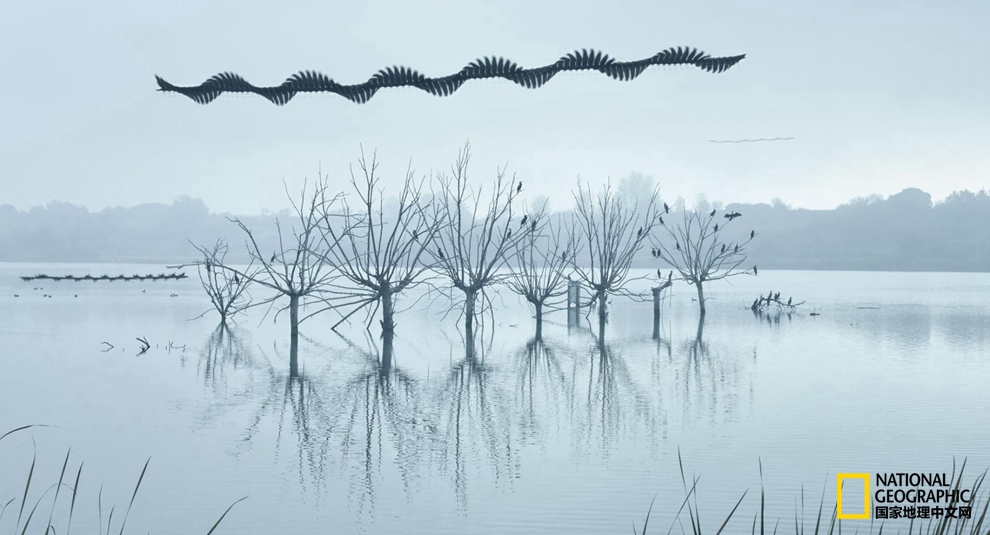 56910001dfec6c8f007c