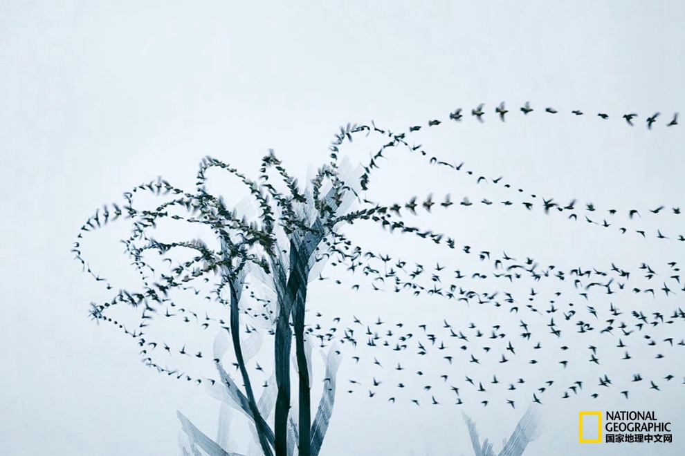 568f00021b210f99b252