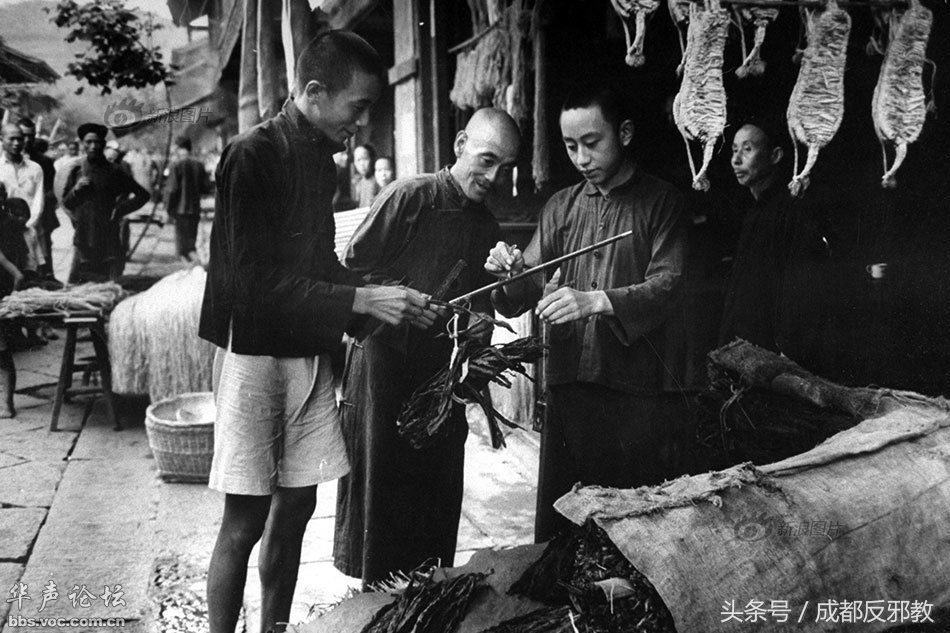 15252257330445c7e8701af