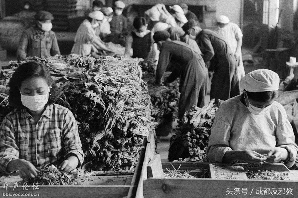 152522573596646cb10cc70