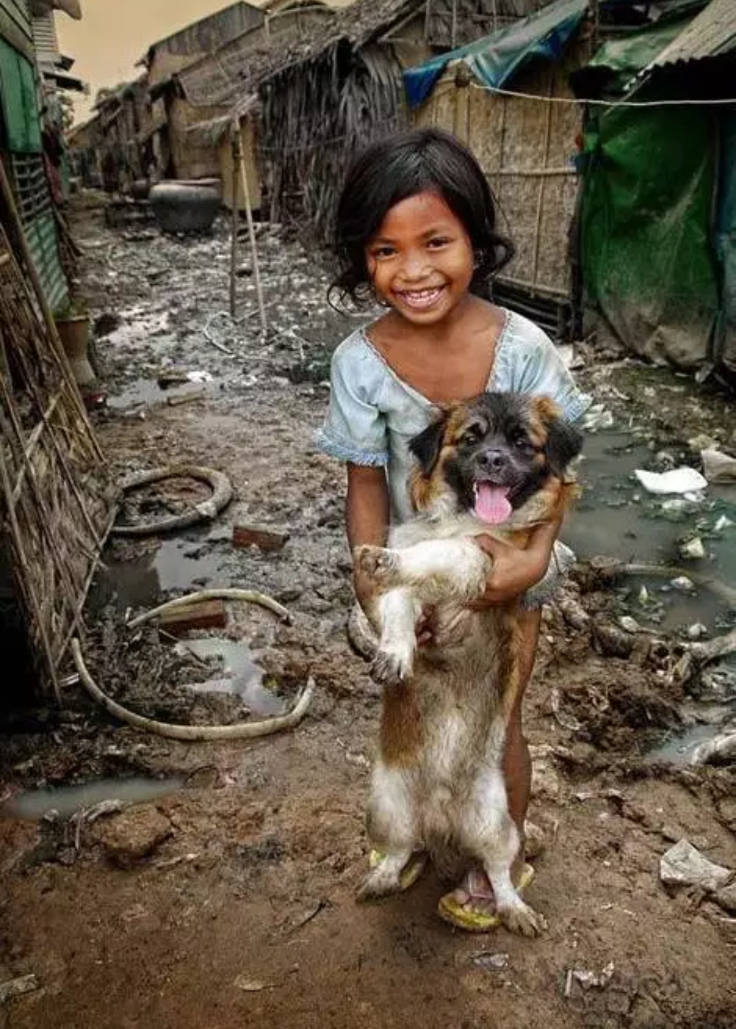 15264891953641e17a01059