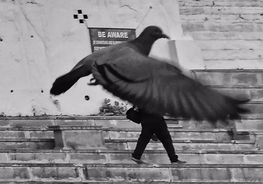 15287908954423ea34e31cf