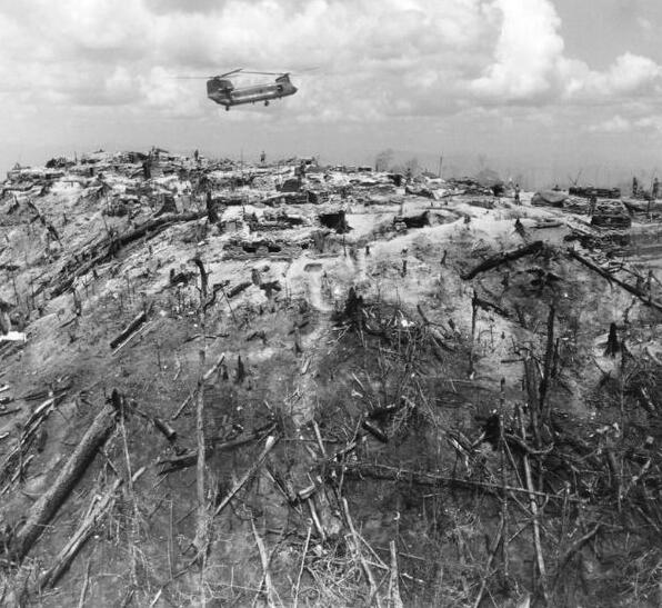 15259318611014ccaf1a24f