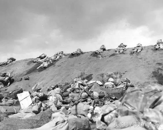 15261968485671903bdc355