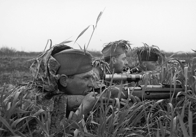 1528253595376a9117d5582