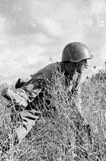 152837589263556264de6b8