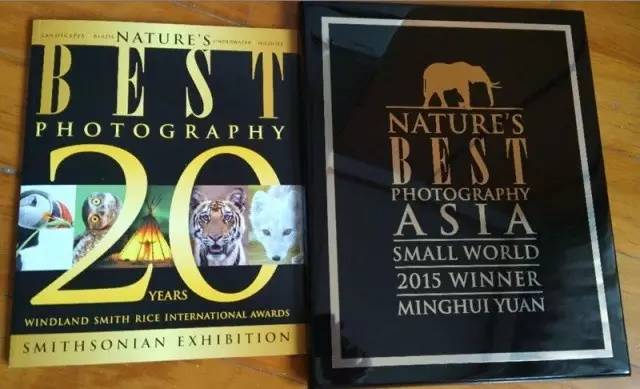 1528086575808e0d9541940