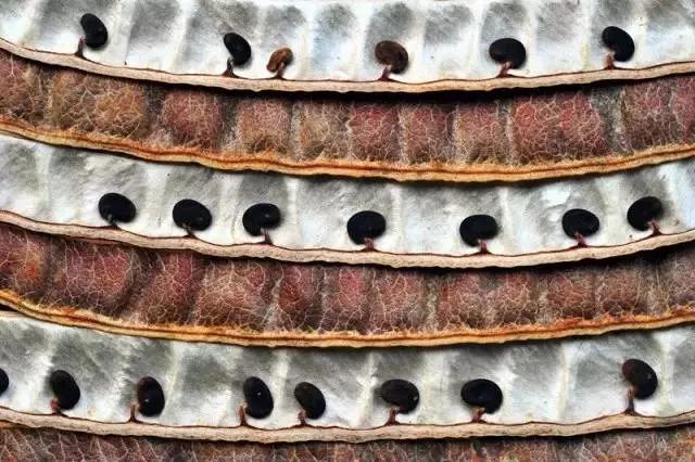 15280865758834bc39e100c