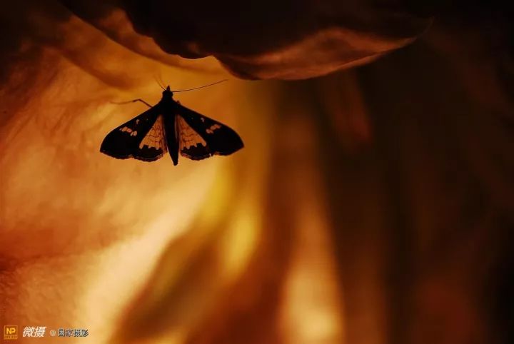 15280865758810fcb296583