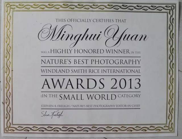 152808657584608a81c35de