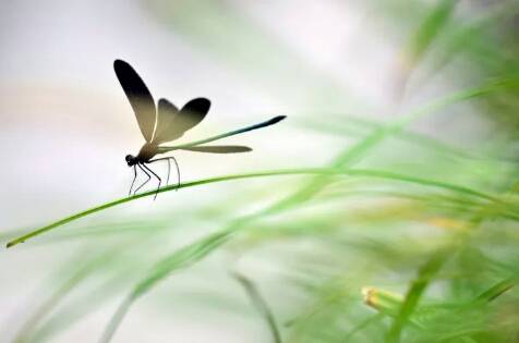 1528086575776d481f441cd