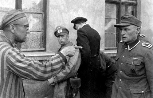 152482323247608e8b6d74b