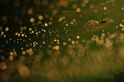 152808657598876b055a4bd