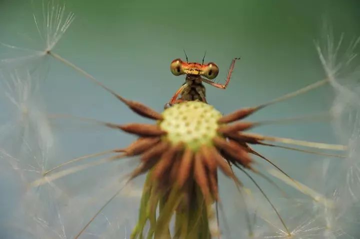 15280865761534bb7c4928e