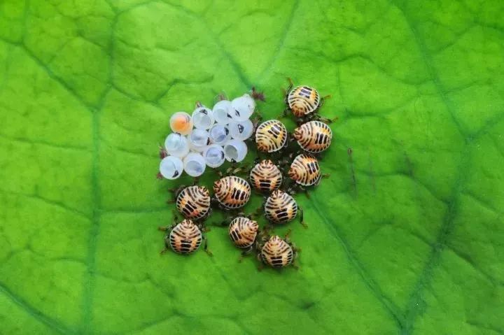 15280865762109021d76f1a