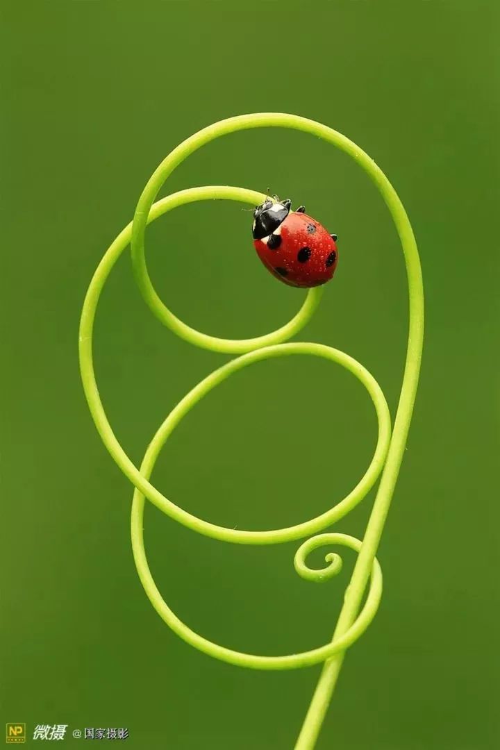 152808657625225cc41928e