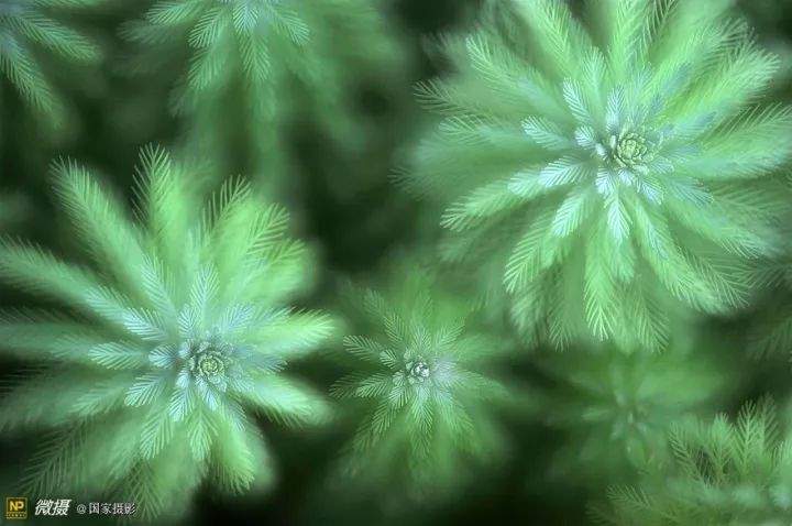 15280865762509744f9a29d