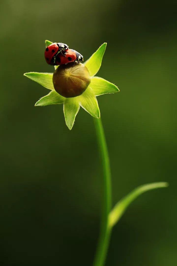 1528086576178b0ccb08056