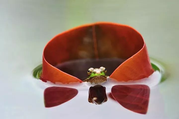 1528086576270f9a9e5b272