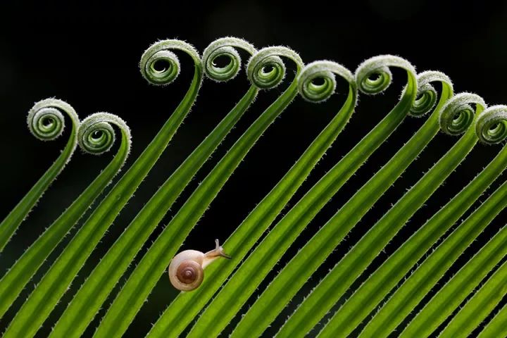 1528086576691a12943bec9