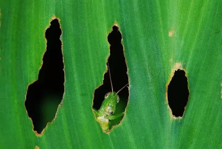 15280865769127c92c3432b