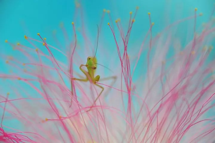 1528086576740c025b676a0