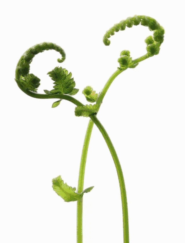 15280865769353c5a08e5e5